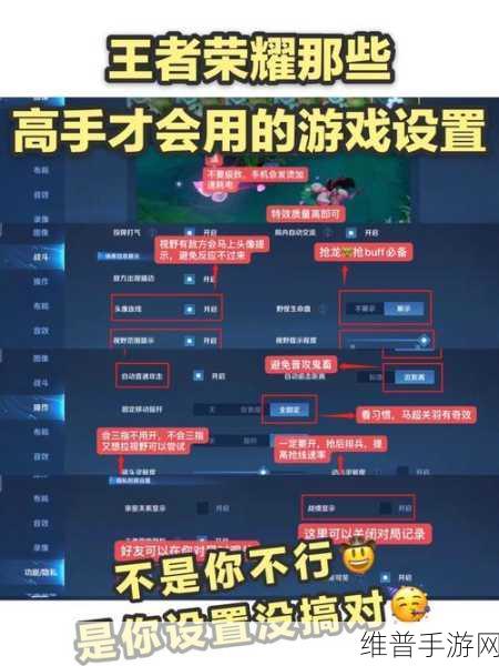 王者荣耀高手攻略，如何精准发送漂亮信号及深度游戏解析