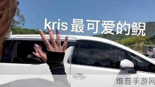 DW成品站成品遭人嫉妒-黑粉:1. DW成品站引发嫉妒潮,黑粉背后的故事