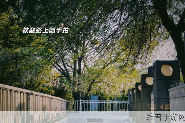 热心的朝阳群众51cgfun2:当然可以!以下是一些基于“热心的朝阳群众51cgfun2”的新标题建议:
