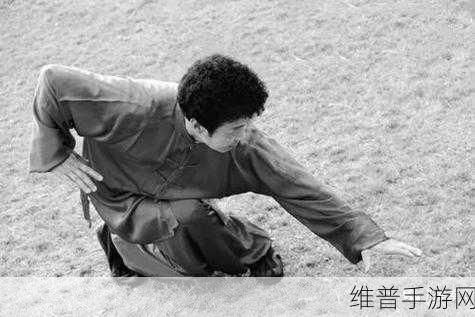 一杆大枪草一家三娘家庭喜剧:1. 《大枪草一家三娘的欢乐日常