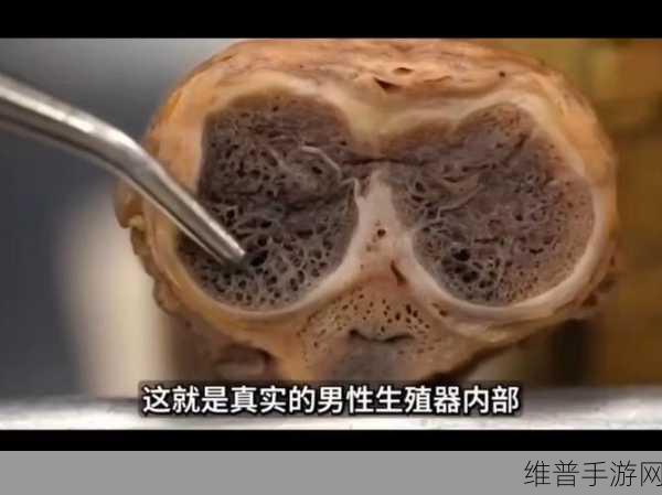 用手过度的海绵体受损怎么恢复：1. 手部过度使用导致海绵体受损的修复方法
