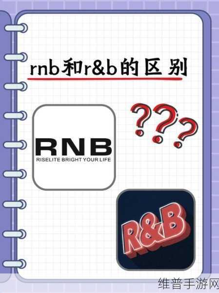 B与B不同区别:1. 探索B与B的独特差异及其深远影响