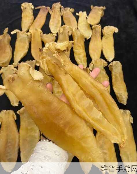 动物胶配方：1. 动物胶配方的创新应用与发展前景