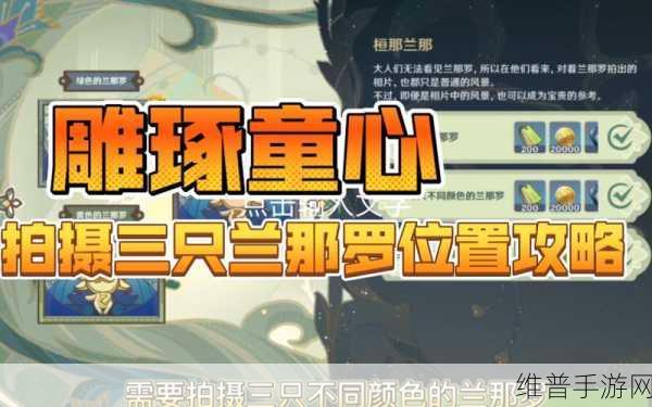 原神拍摄橙色兰那罗指南及兰那罗位置全览