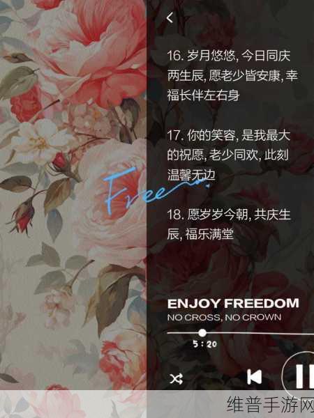 岁岁常欢愉（校园）林岁岁贺景瑞：1. 《岁月如歌，校园里的欢愉时光