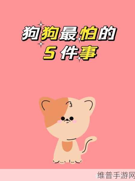 狗狗的东西又硬又长怎么办:1. 如何处理狗狗的异物问题与健康建议