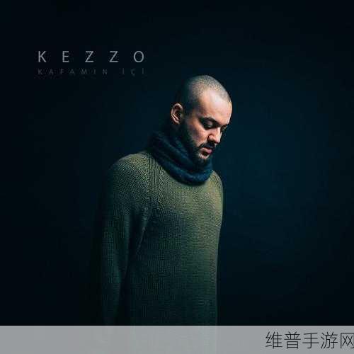 Zoom另一类ZZO03不限制进入全免费:1. "Zoom全新ZZO03:无限制免费畅享在线会议体验