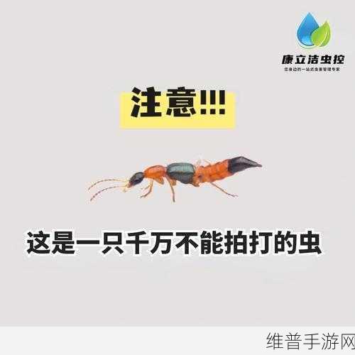 结合处发出粘腻的拍打声：1. 结合处的神秘之声：粘腻拍打音的探索