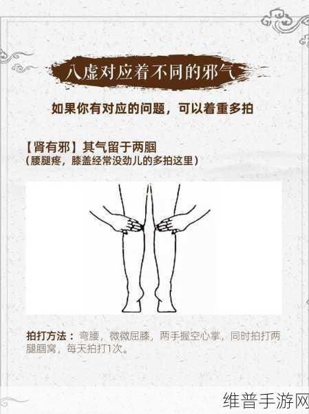 结合处发出粘腻的拍打声:1. 结合处的神秘之声:粘腻拍打音的探索