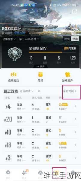 和平精英，隐藏历史战绩的秘籍大公开