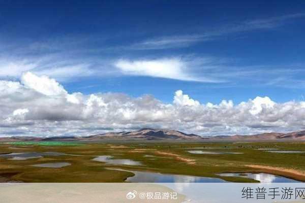 可可西里大但人文艺术听说主播很多：好的，以下是关于可可西里及其人文艺术的一些新标题建议，每个标题都不少于10个字：