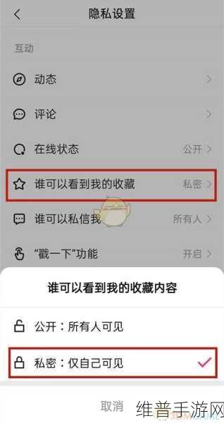 快手极速版手游攻略，如何高效管理你的收藏作品