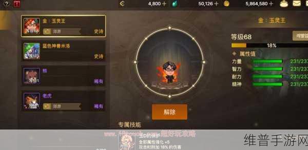 DNF9周年宠物哪个好？全面解析与推荐