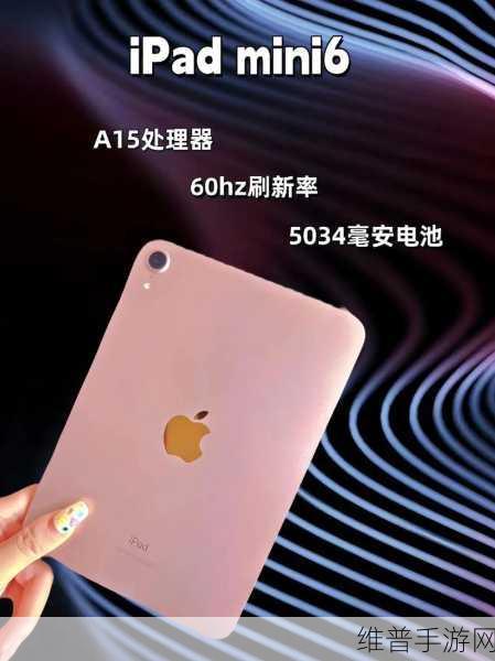 如何确保mini6的秘密入口安全：确保Mini 6秘密入口安全的有效策略与方法