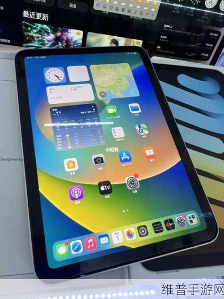 如何确保mini6的秘密入口安全:确保Mini 6秘密入口安全的有效策略与方法