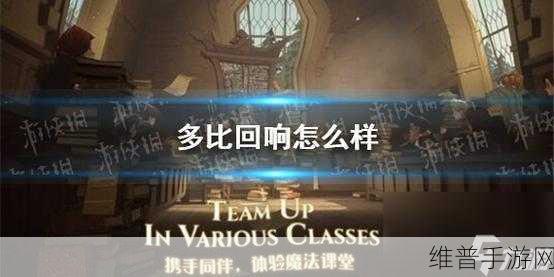 哈利波特魔法觉醒，卢娜回响夜骐实战秘籍