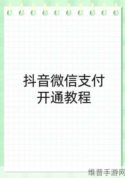 手游攻略，深度剖析微信支付与抖音的纠葛及游戏策略秘籍