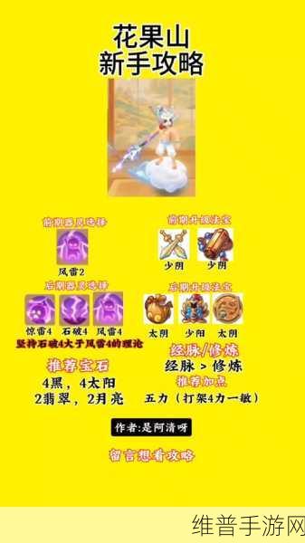 梦幻西游手游攻略，花果山175级角色顶级装备选择指南