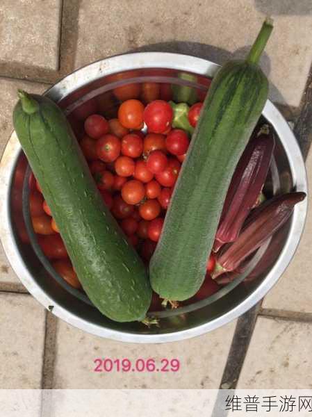 榴莲秋葵绿巨人WWW苹果下:1. 《在榴莲的香气中探寻秋葵与绿巨人的故事