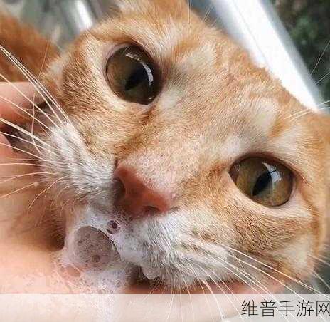 Abw实验4痉挛口吐白沫:1. 痉挛引发口吐白沫的实验现象探究