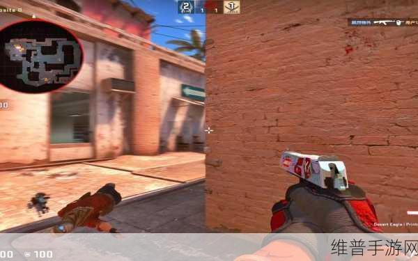17岁俄罗斯CSGO玩家：17岁俄罗斯CSGO玩家的成长与挑战之路探秘