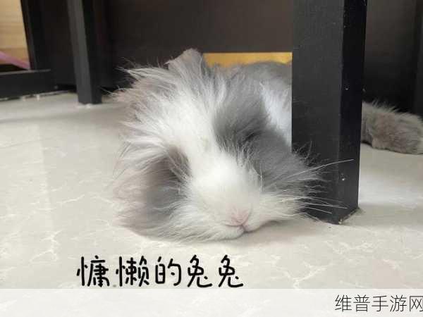 男生为什么喜欢舔你的小兔兔呢:1. 男生为何对你的小兔兔情有独钟?