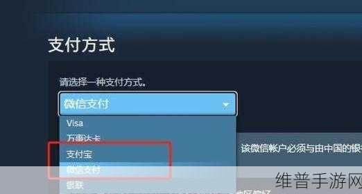 手机版Steam游戏购买攻略，微信支付详解