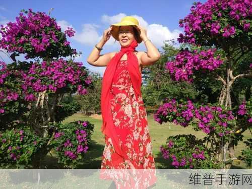 从国产电影一曲二曲三曲:1. 《四季歌舞:生命的旋律与希望