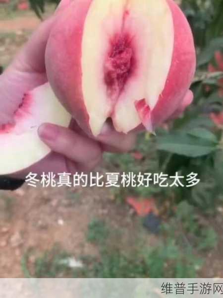 蒙阴蜜桃：1. 蒙阴蜜桃的独特风味与健康益处揭秘