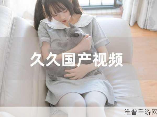 EEUSS视频鲁片内容一二三区解析：根据EEUSS视频鲁片内容，可以考虑以下