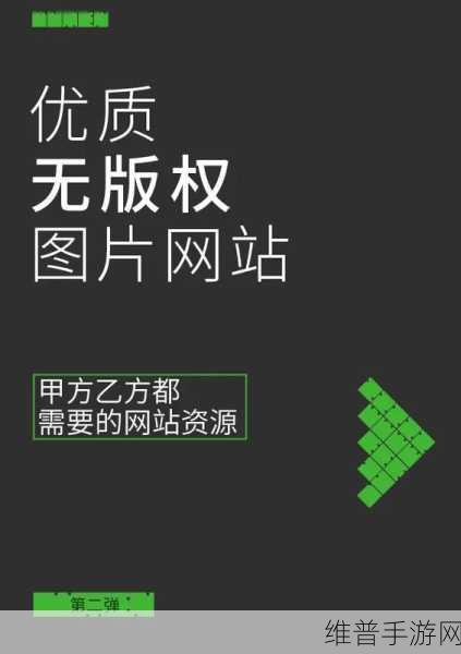 免费网站在线观看人数在哪网站：当然可以！以下是一些关于免费网站在线观看人数的扩展标题建议，每个标题不少于十个字：