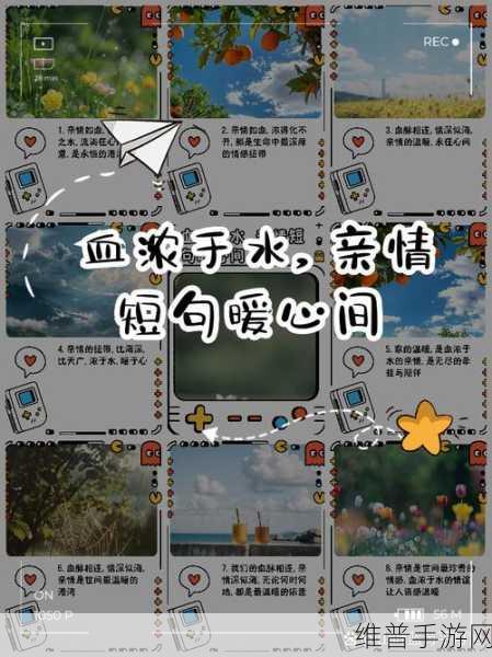 大团圆亲情会高明王芳洁：1. 大团圆中的亲情纽带：探寻王芳洁的故事