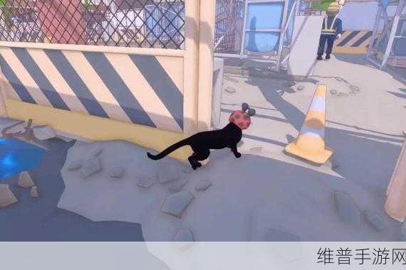 小猫咪大城市日常美容动作怎么获得：1. 小猫咪在都市中的每日美容秘籍