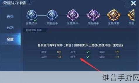 王者荣耀全国大赛选手卡显示与设置全攻略