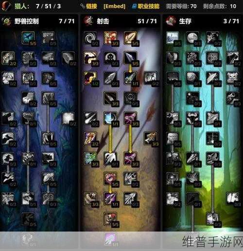 WLK血DK野外PVP天赋：WLK血DK野外PVP天赋解析与实战技巧分享