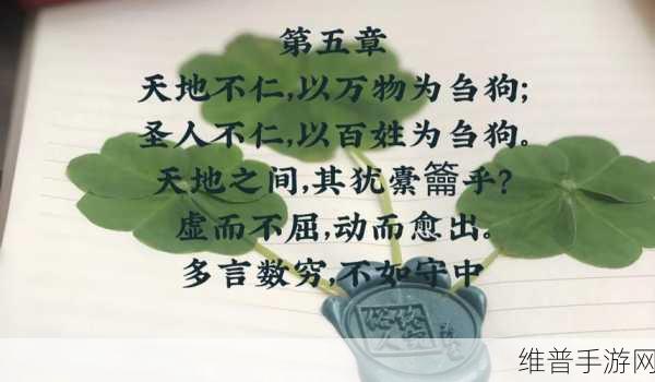 奴仆的日常生活准则：1. 奴仆日常生活中的智慧与哲理