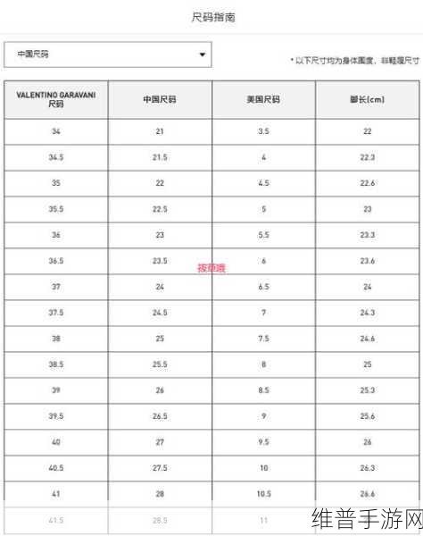 欧亚尺码专线欧洲b1b1如何选择：1. 如何根据欧亚尺码选择合适的欧洲B1B1