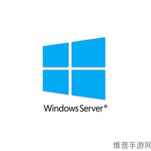 欧美VPSWINDOWS极品：1. 高性能VPS Windows服务器，助力您的业务腾飞
