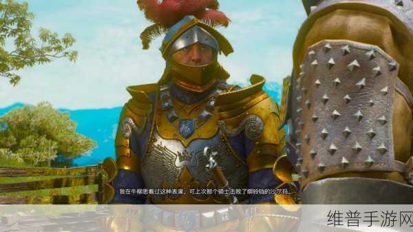 巫师三陶森特监狱怎么进:1. 《巫师三:陶森特监狱的秘密与探索指南