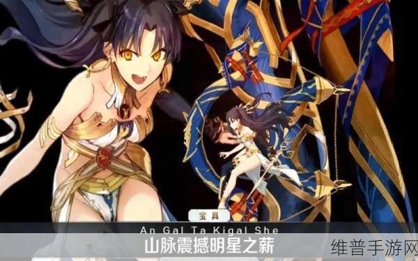 FGO英灵宝具深度解析，功能、作用与实战策略