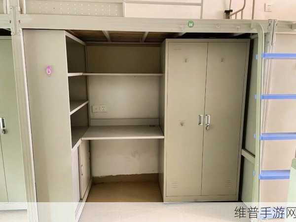 大学寝室墙上安的H3C怎么用：1. H3C网络设备在大学寝室中的应用与管理