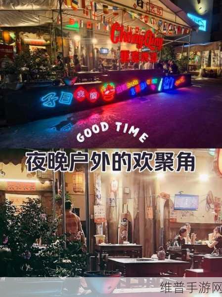 半夜年轻人看B站软件：1. 深夜B站：年轻人追梦的狂欢时刻