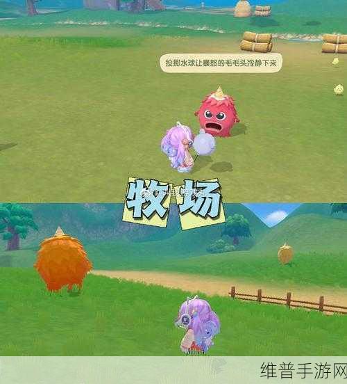 摩尔庄园1深度攻略,揭秘黑森林来的毛毛头奇妙冒险