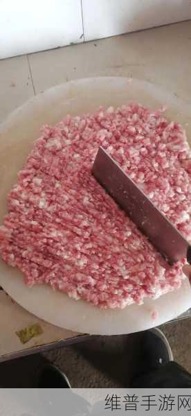 课后辅导肉馅小水饺：1. 美味肉馅小水饺的制作技巧与秘诀