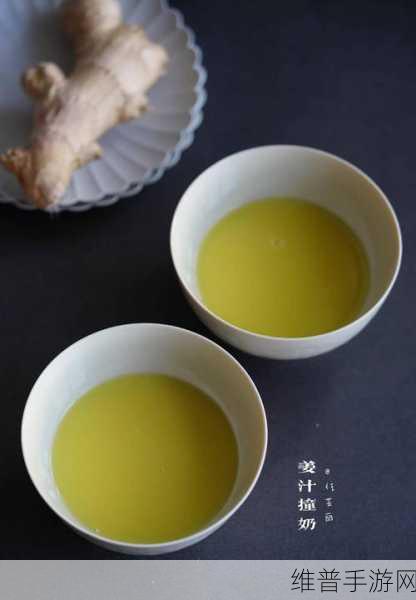 姜汁撞奶骨科：1. 姜汁撞奶：传统与现代的完美结合