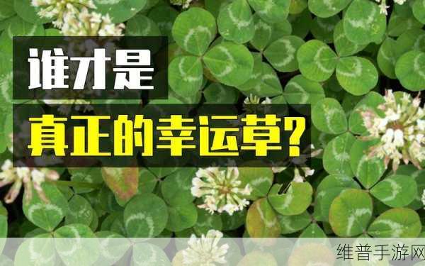 解析成品网站W灬源码三叶草下载：1. ＂探索W灬源码三叶草下载的无限可能性