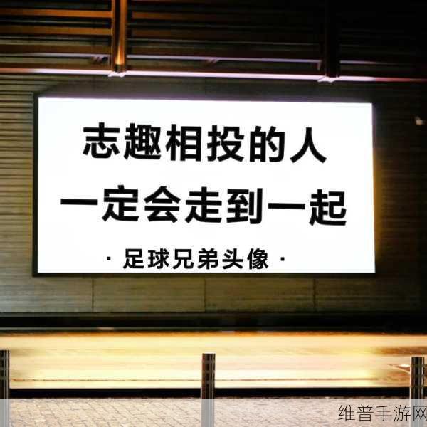 兄弟默契1V3：1. 兄弟默契：一敌三的完美协作之道