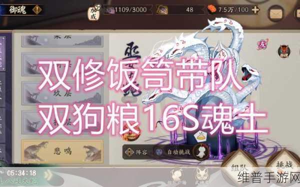阴阳师饭笥御魂的绝佳选择与最强搭配