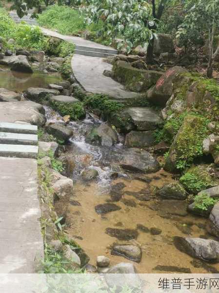 桃花洞口已是溪水潺潺深受广大友好评回应：1. 桃花洞口溪水潺潺，悠然自得的自然之旅