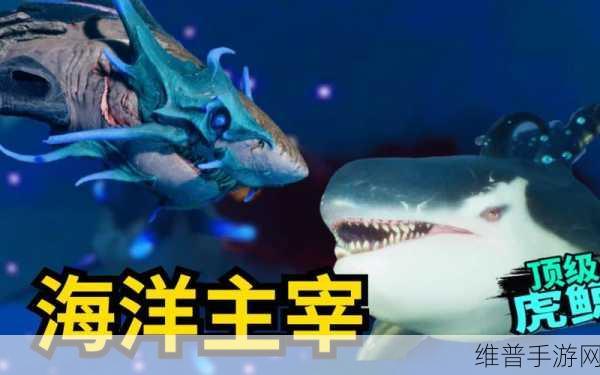 GTA5手游，探寻虎鲸踪迹，征服海洋之王